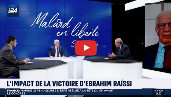 Malard en liberté